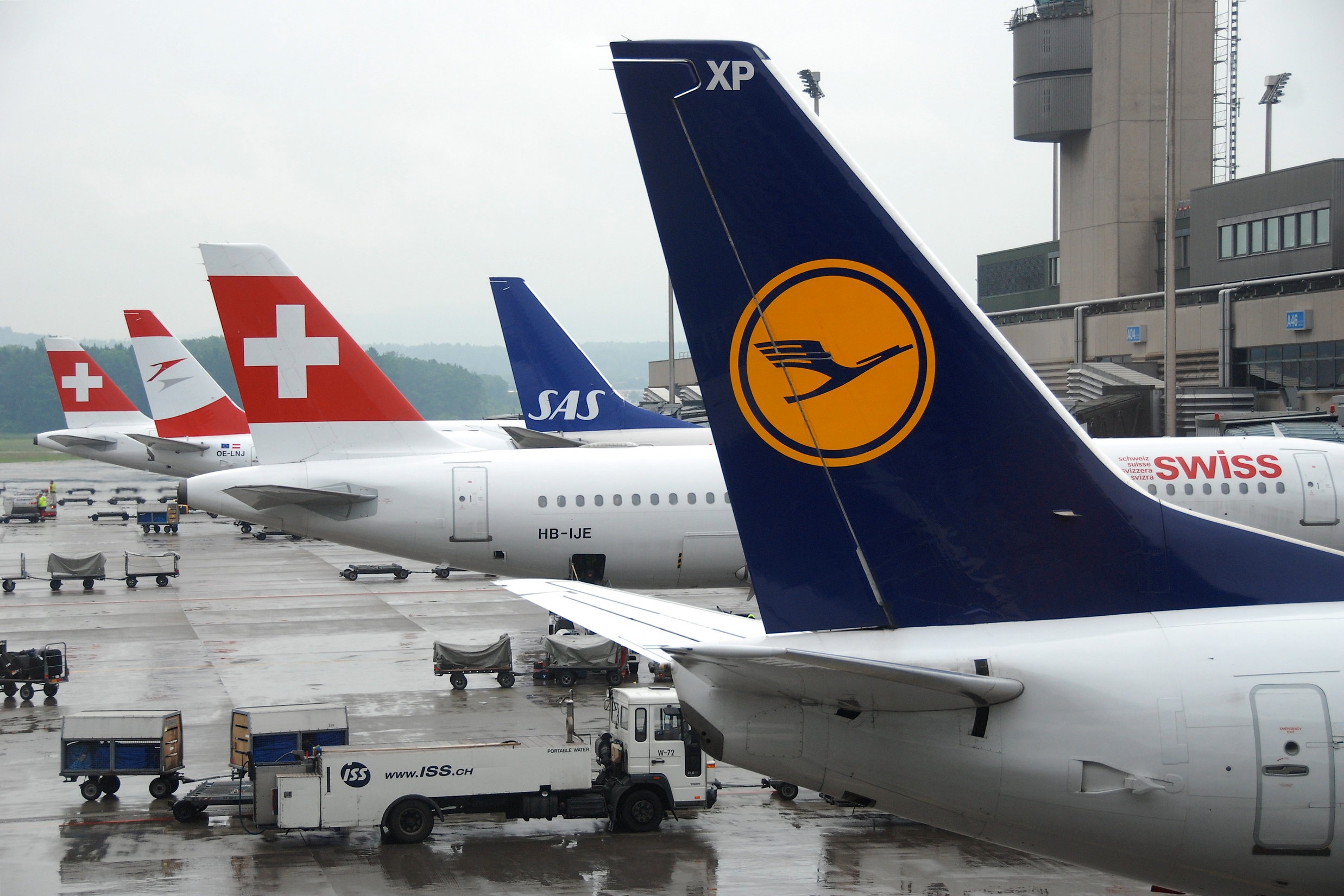 Star Alliance member airline tails lined up at a gate