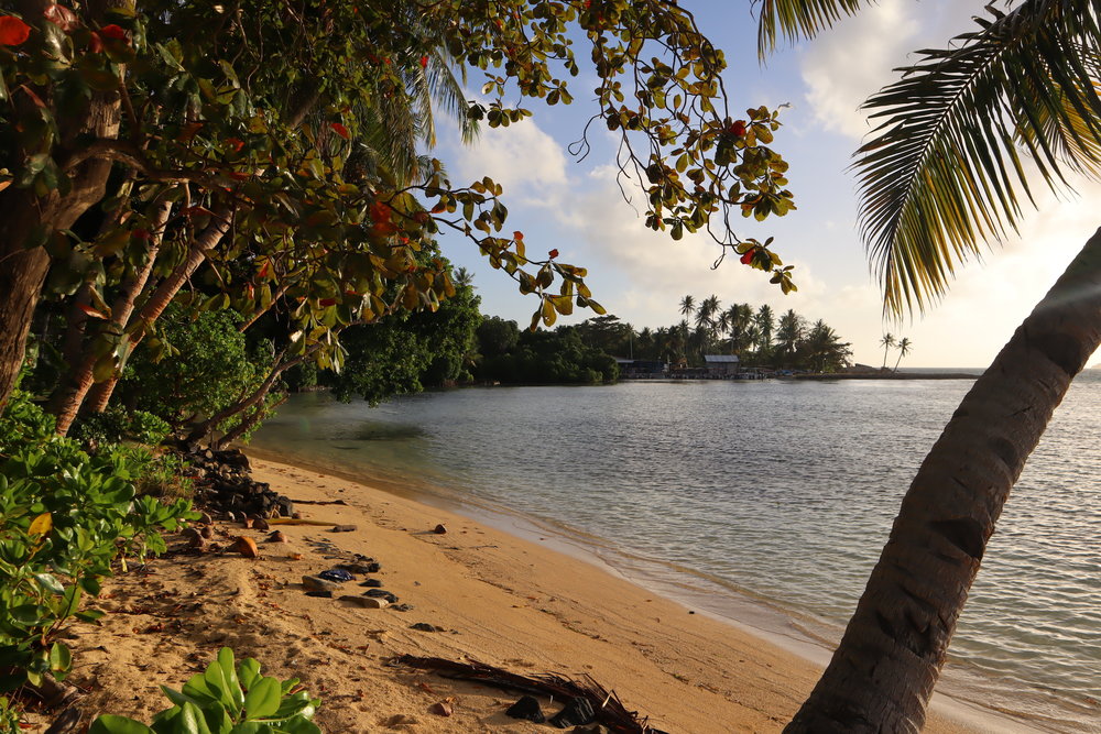 Blue Lagoon Dive Resort – Sand banks