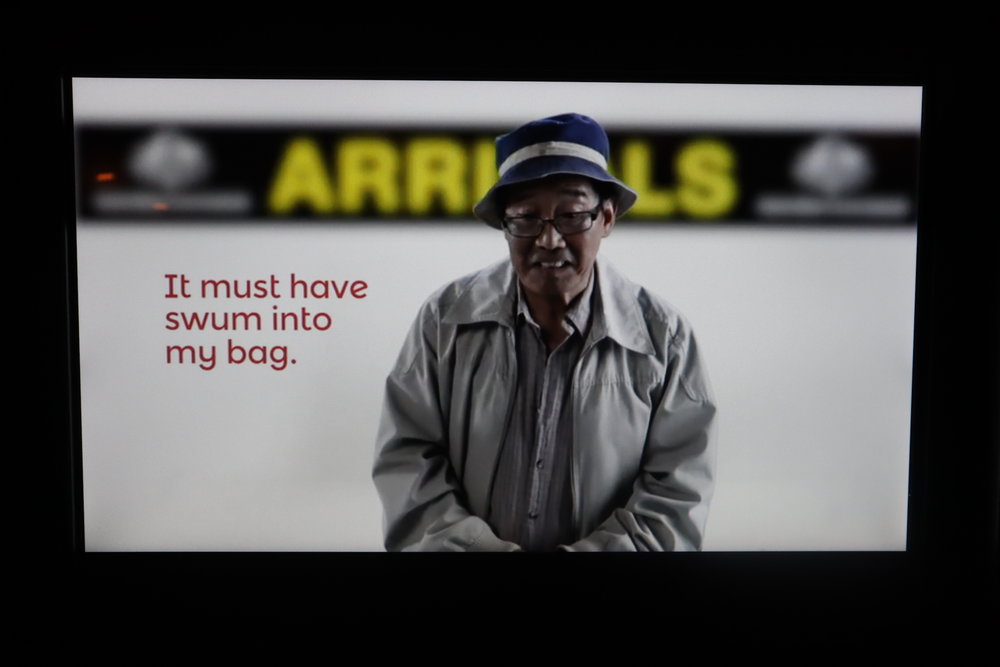 Singapore Airlines 787-10 business class – Australian customs video