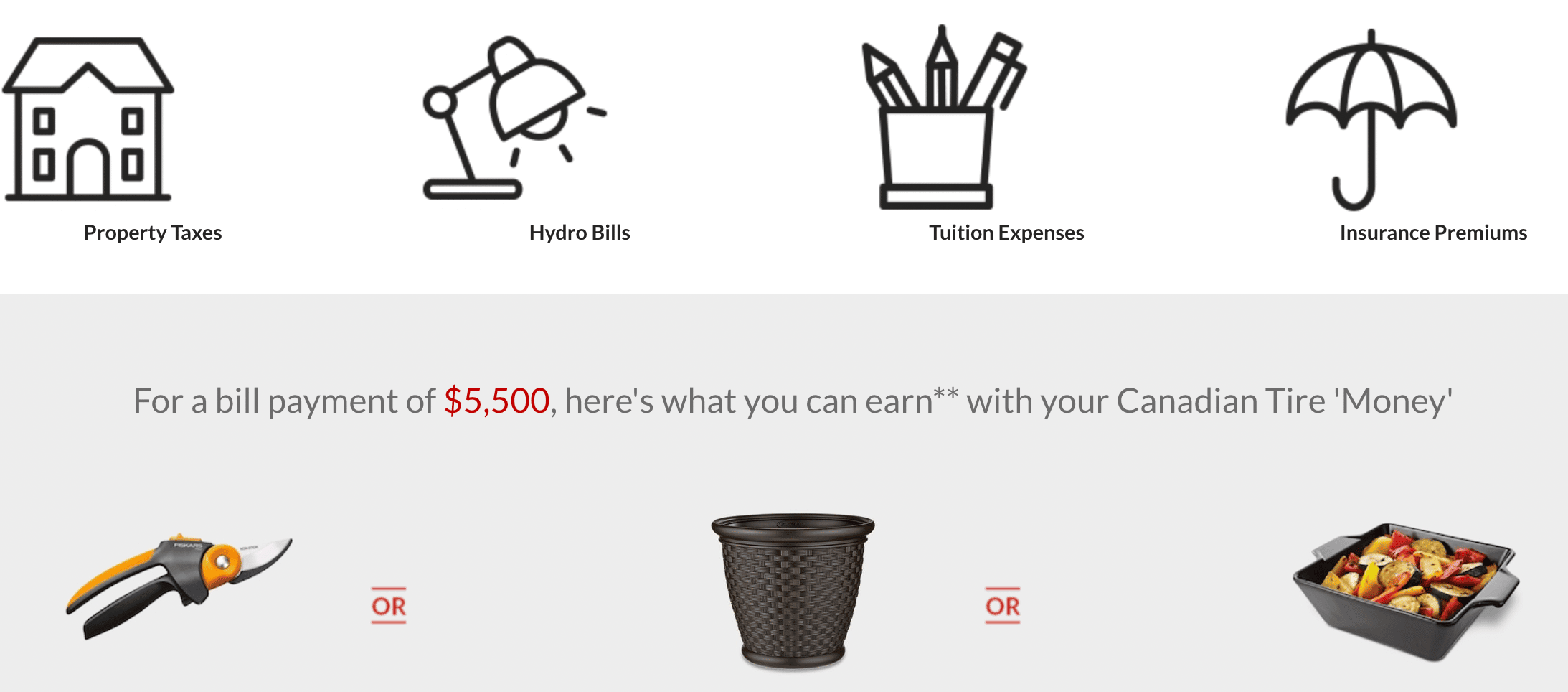 screenshot from Canadian Tire financial services website