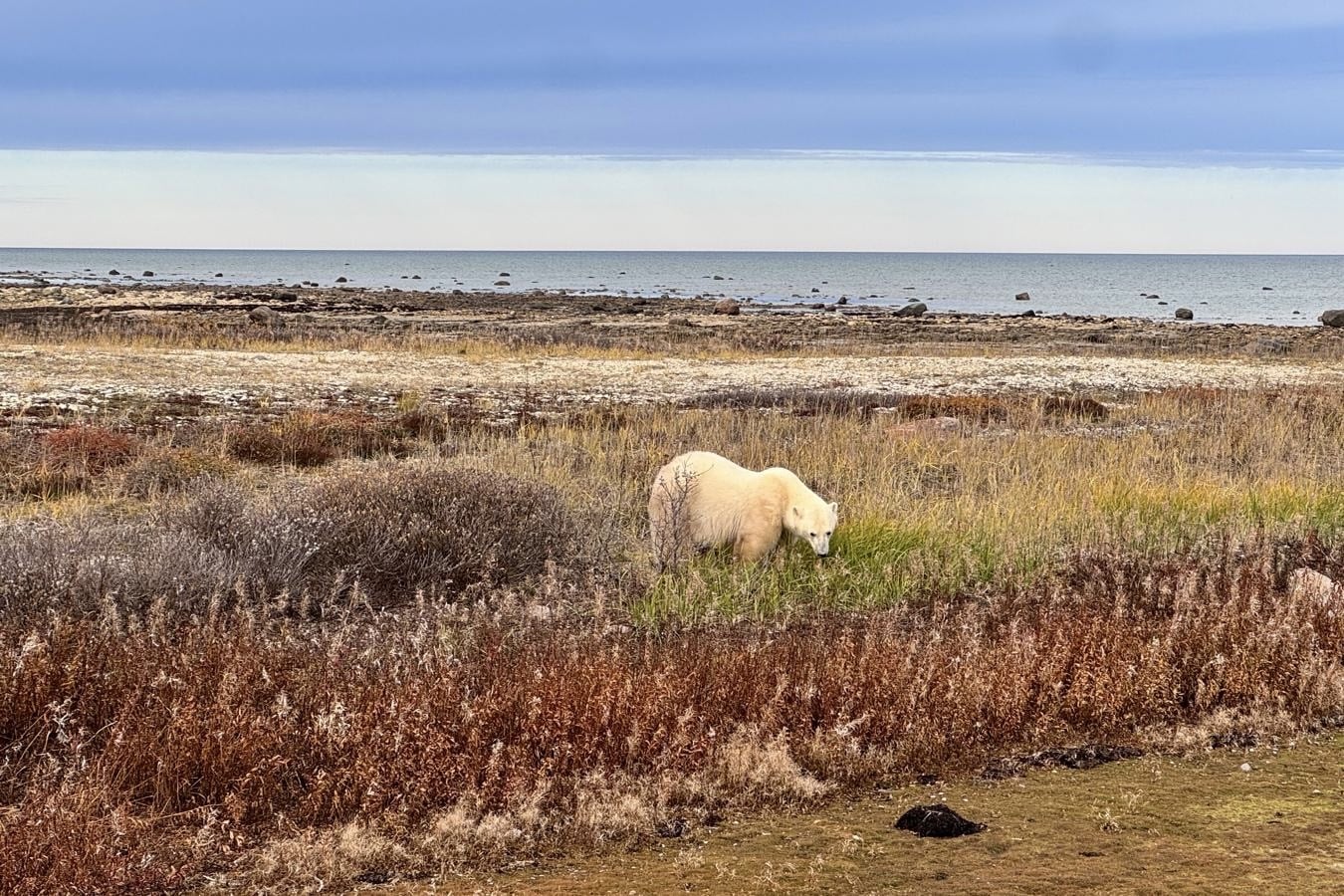 77e01266 b9b0 412e 953b 6846f2a50d92