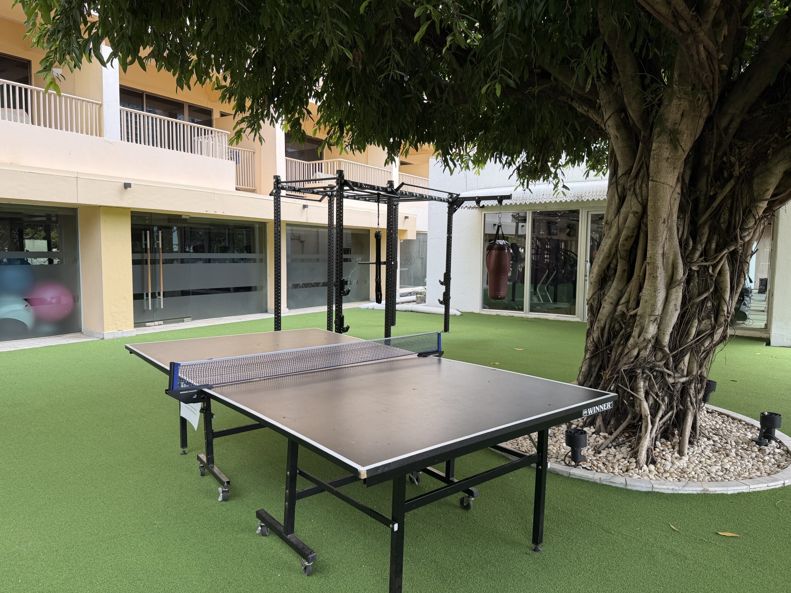 dusit thani pattaya ping pong