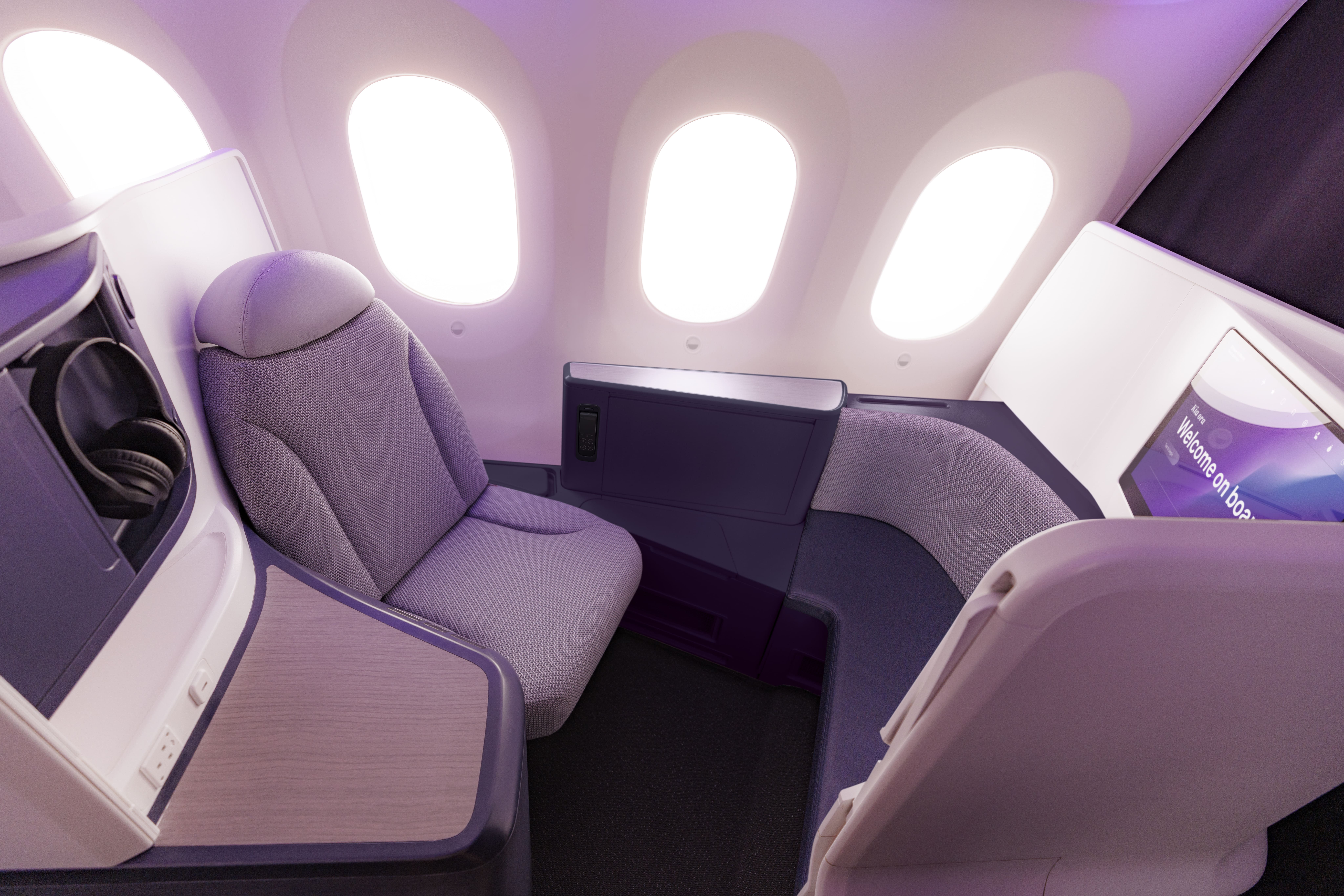 Air New Zealand Business Premier Luxe suite on the Boeing 787-9