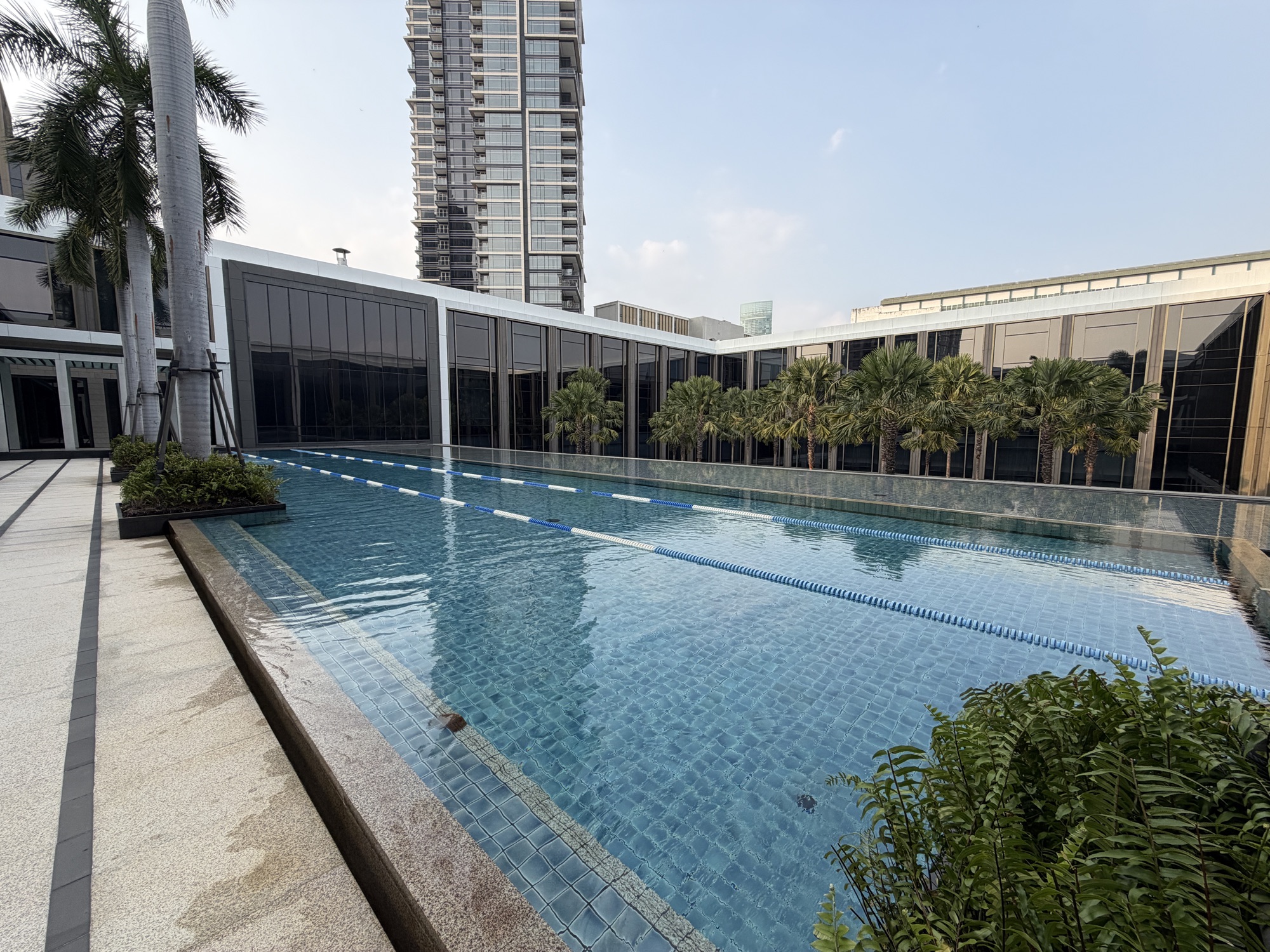 Lane-marked lap pool with palm trees at Four Seasons Hotel Bangkok at Chao Phraya River