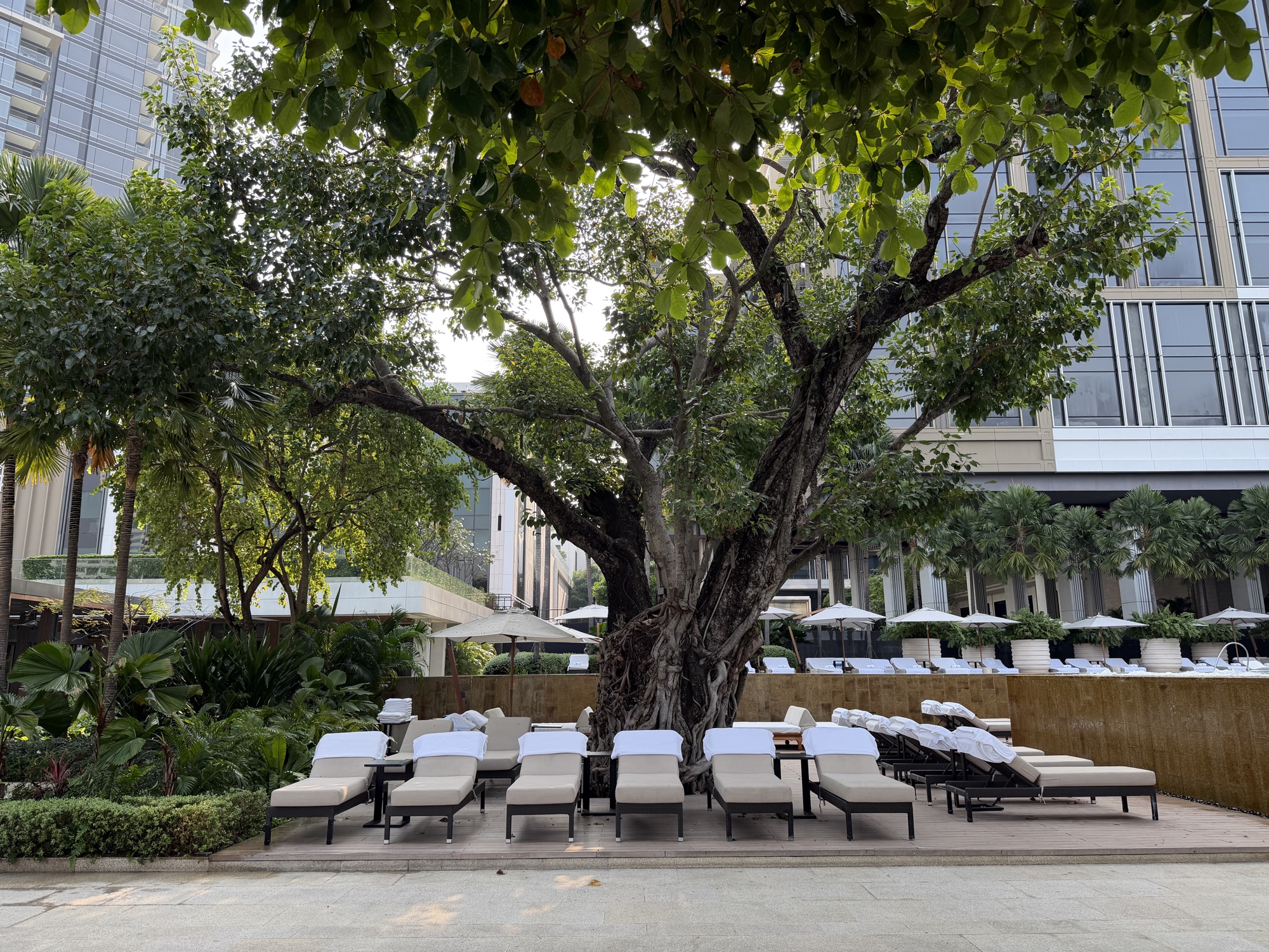 Sunbeds under mature trees at the pool at Four Seasons Hotel Bangkok at Chao Phraya River