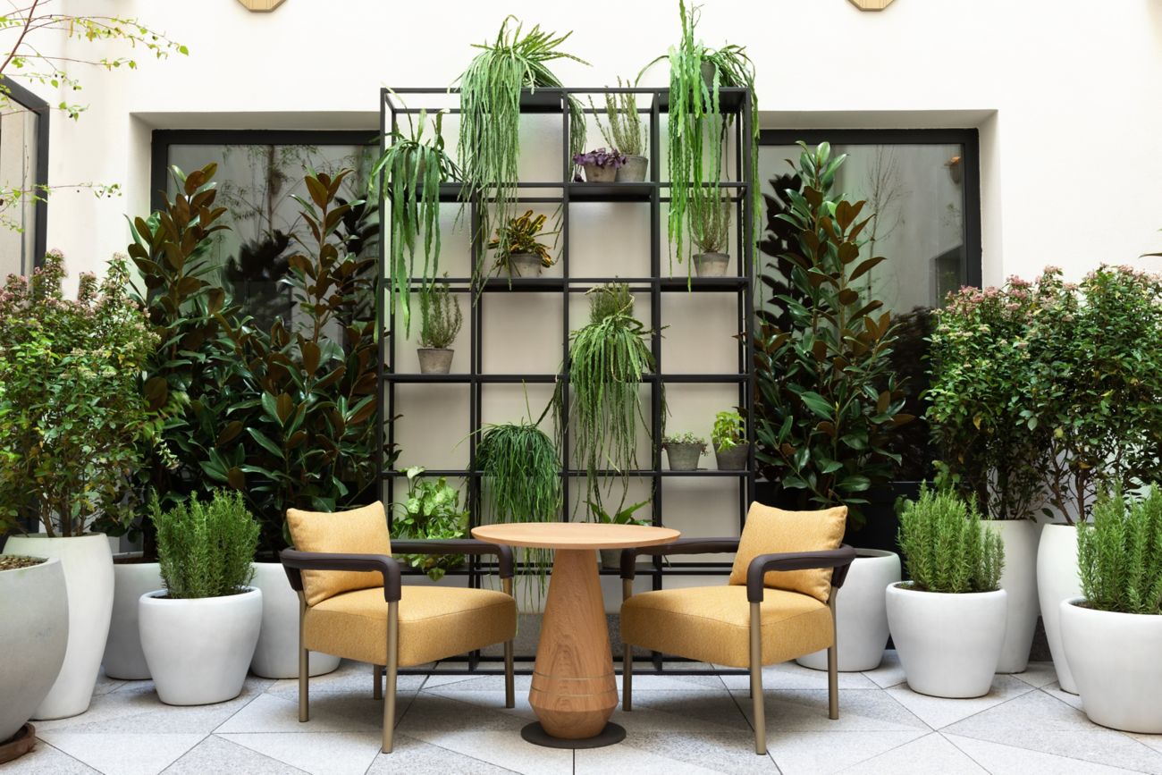 JW Marriott Hotel Madrid - JW Garden