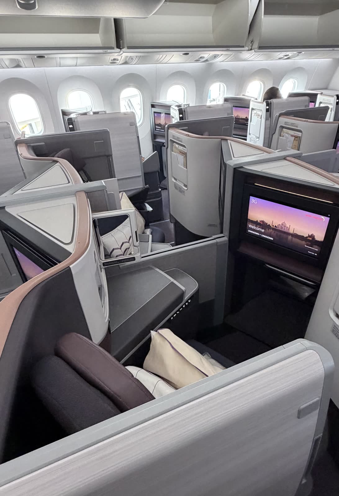 Centre and window business class suites on Air India's Boeing 787-9, with pillows set out and the overhead bins open