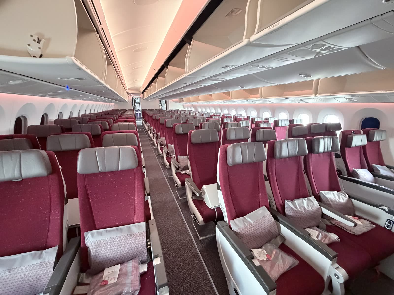 Rows of magenta economy seats with pillows set out, under a peach-pink glow on the ceiling