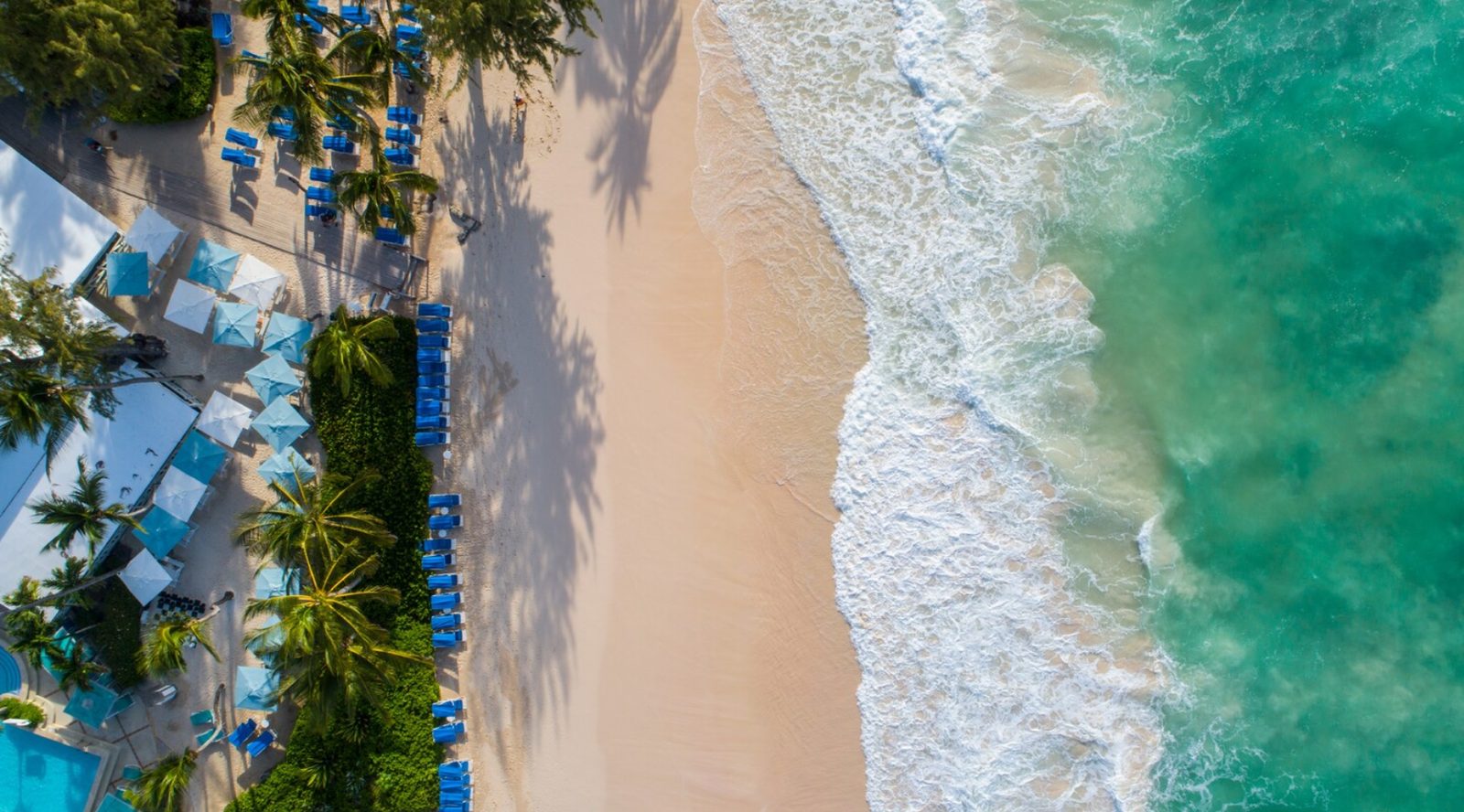 Aerial view of the beach at Turtle Beach, a Tribute Portfolio All-Inclusive Resort in Barbados