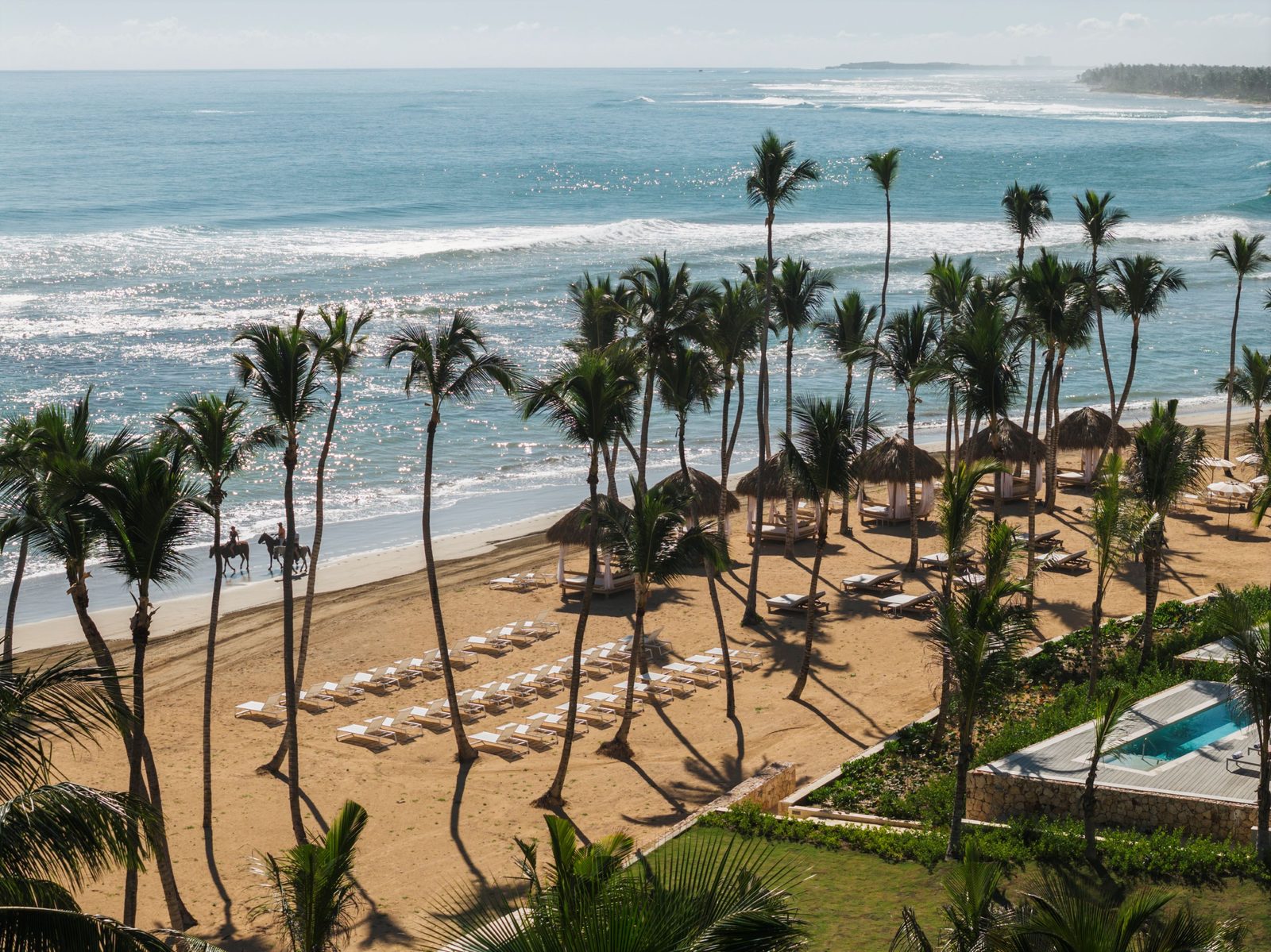 Palm-lined beachfront at W Punta Cana